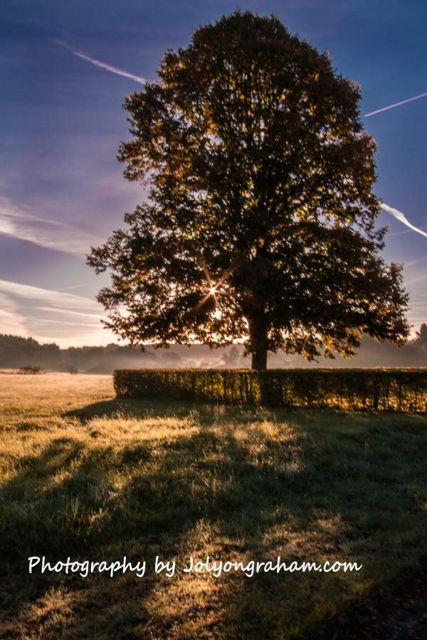 Haus Am Dreifelder Weiher Dreifelden Dış mekan fotoğraf